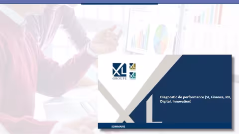 Diagnostic de performance (SI, Finance, RH, Digital, Innovation)