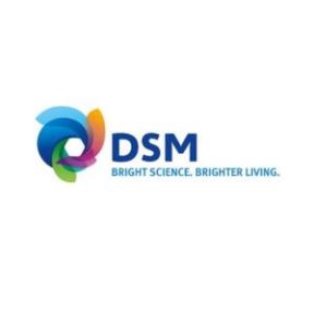 DSM Food Specialities